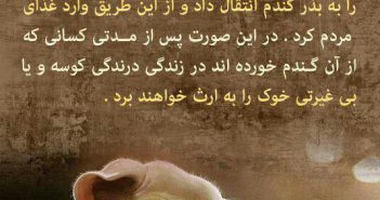 انتقال ژن درندگی کوسه یا بی غیرتی خوک